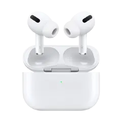 Earphones & Headset